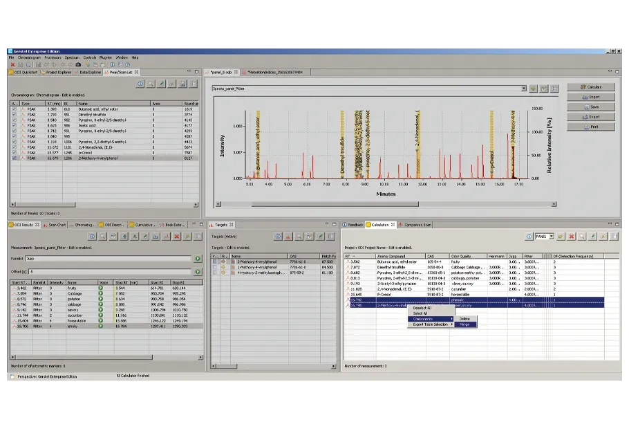 Panel-Analyse