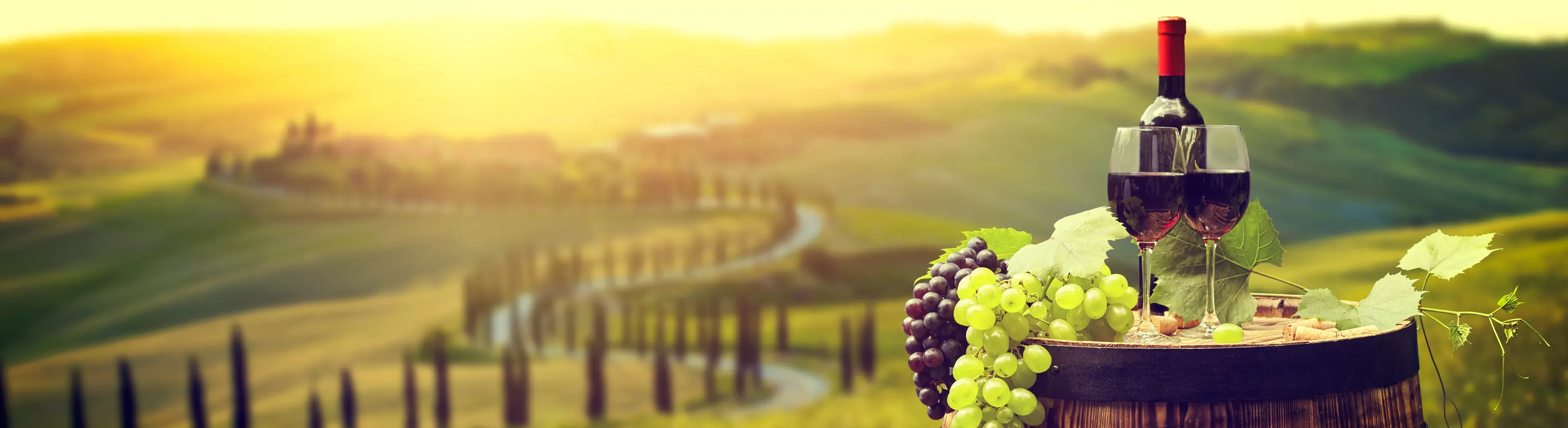 news-wines