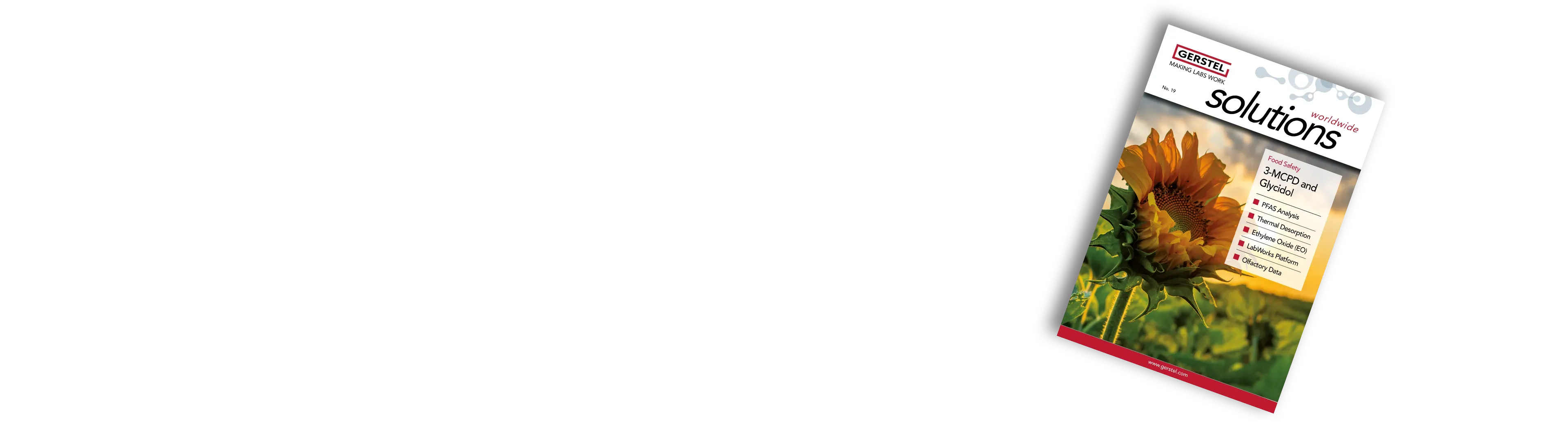 Solution 19