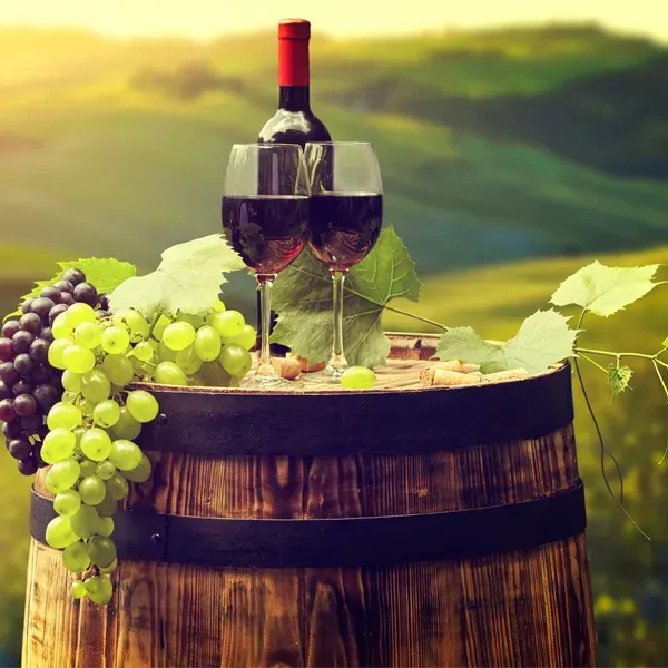 News Wein