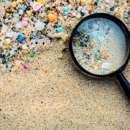 TED-GC-MS 微塑料检测